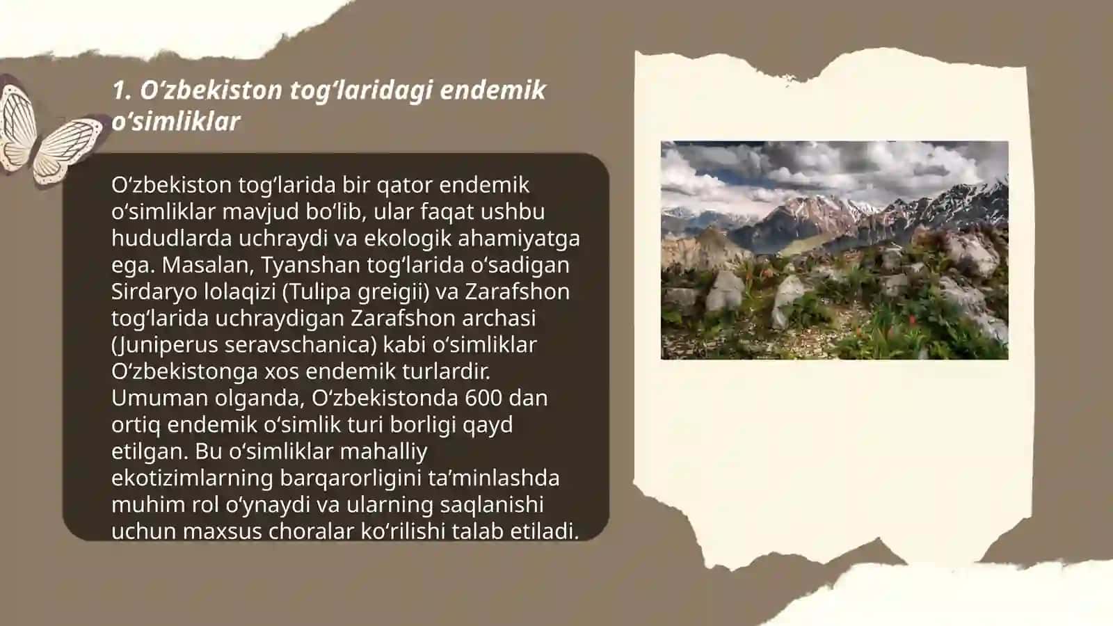 Oʻzbekistonning togʻ, choʻl, dashtlarida oʻsadigan oʻsimliklari 3
