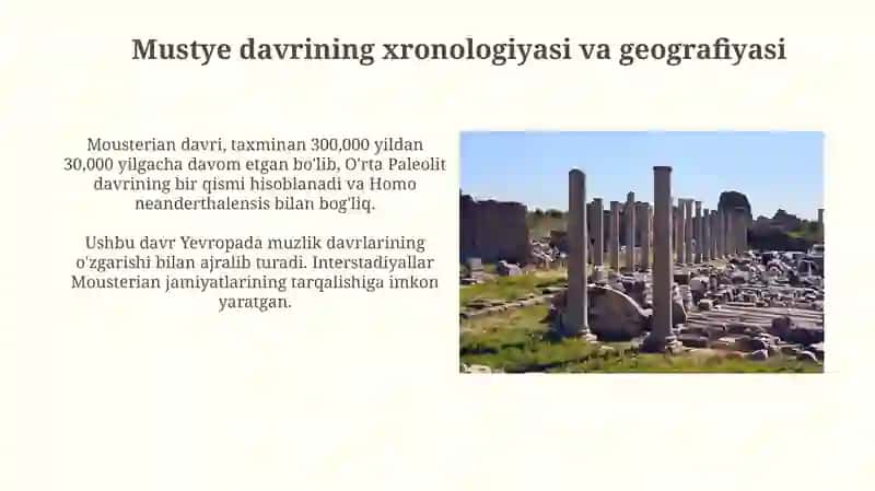 Mustye davri arxeologik yodgorliklari 3