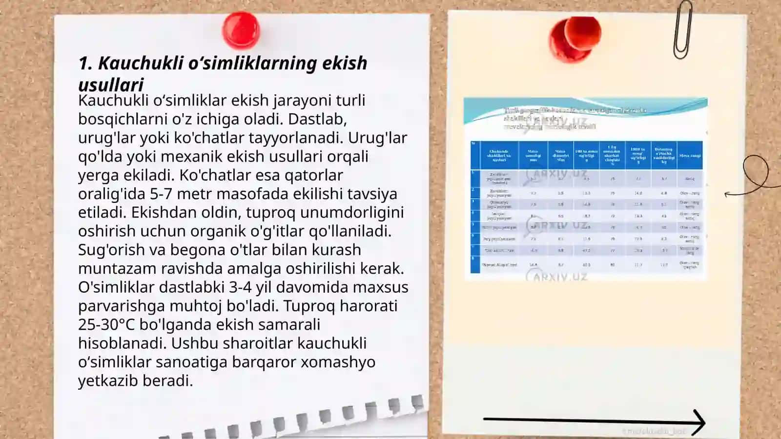 Kauchukli oʻsimliklar yetishtirish texnologiyasi 3
