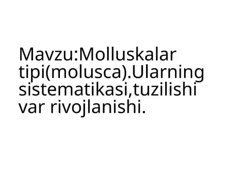Molluskalar tipi (Molusca) 3