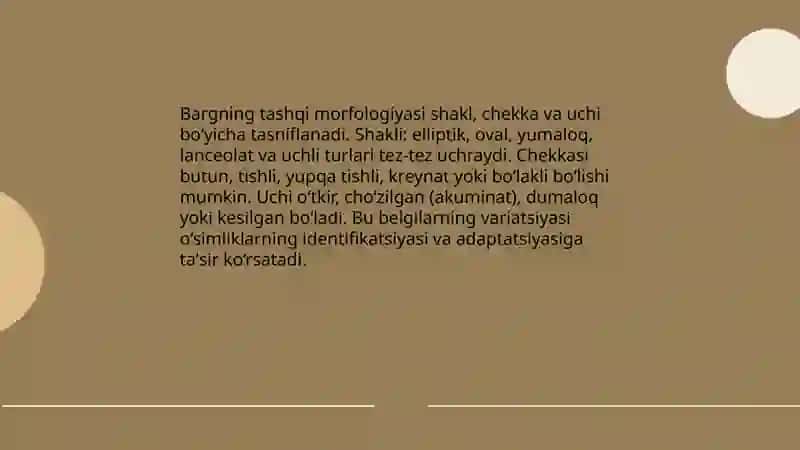 Barg 3