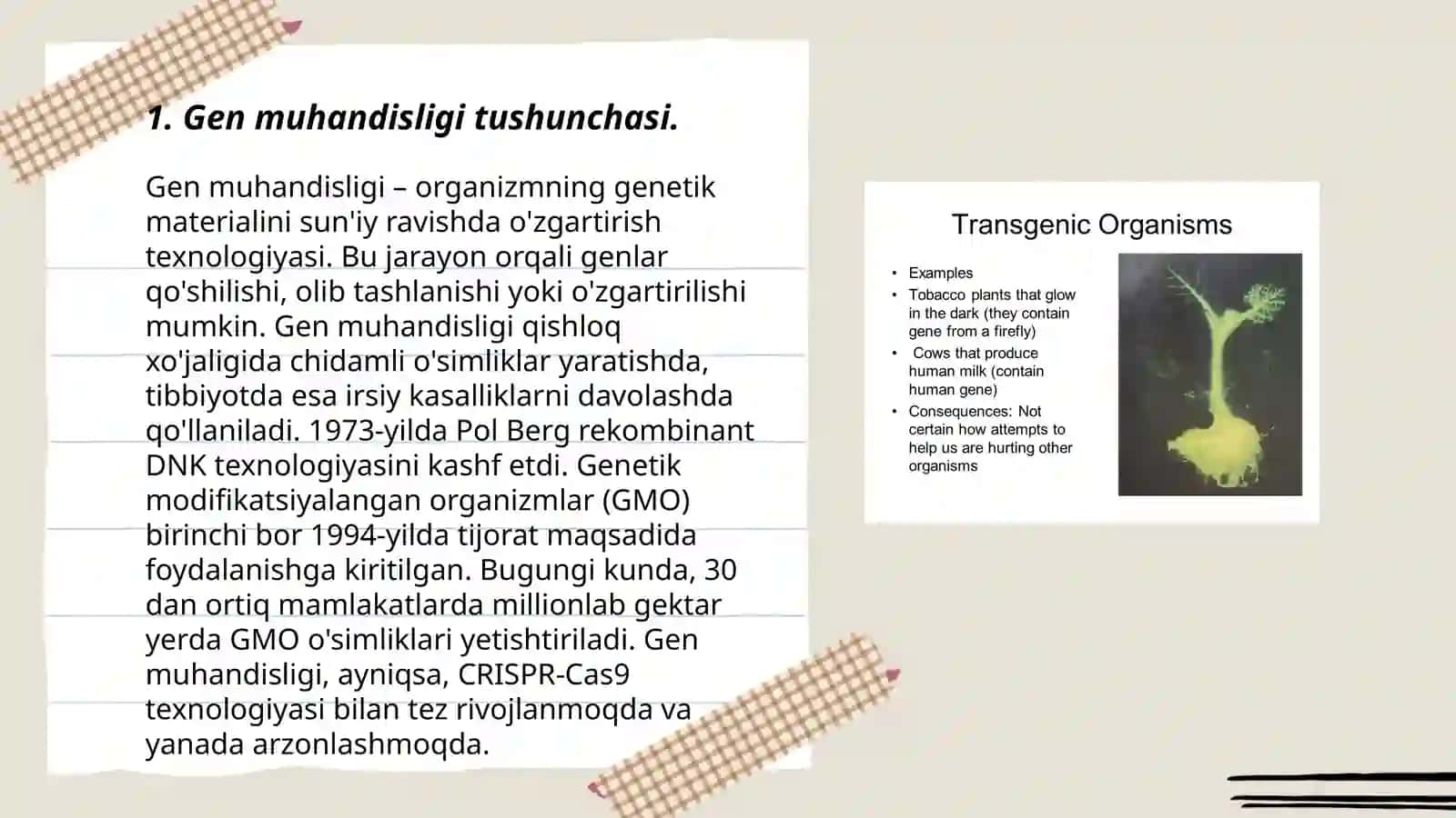 Gen muhandisligi yordamida transgen gen oʻsimliklar olish 3