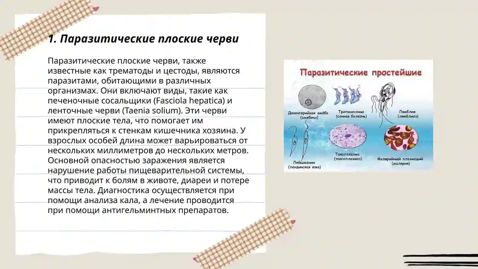 паразитические простые животные 3