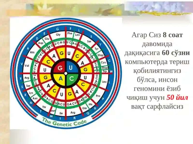 Ирсий нуқсонларни ташхислашнинг замонавий усуллари 3
