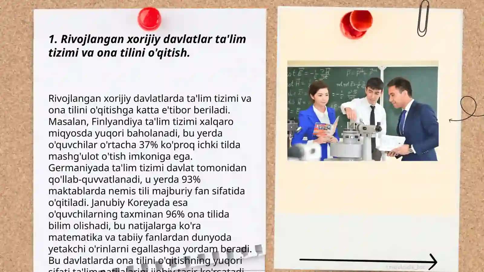 Ona tilini óqitishda rivojlangan xorijiy davlatlar tajribasi 3