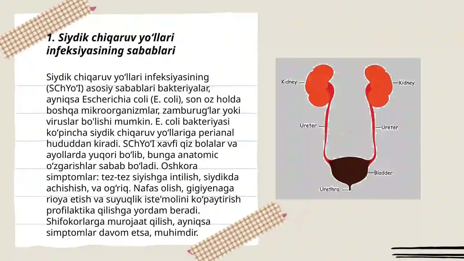 Siydik chiqaruv yoʻllari infeksiyasi 3