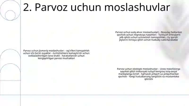 Qushlarning Ekologiyasi 3