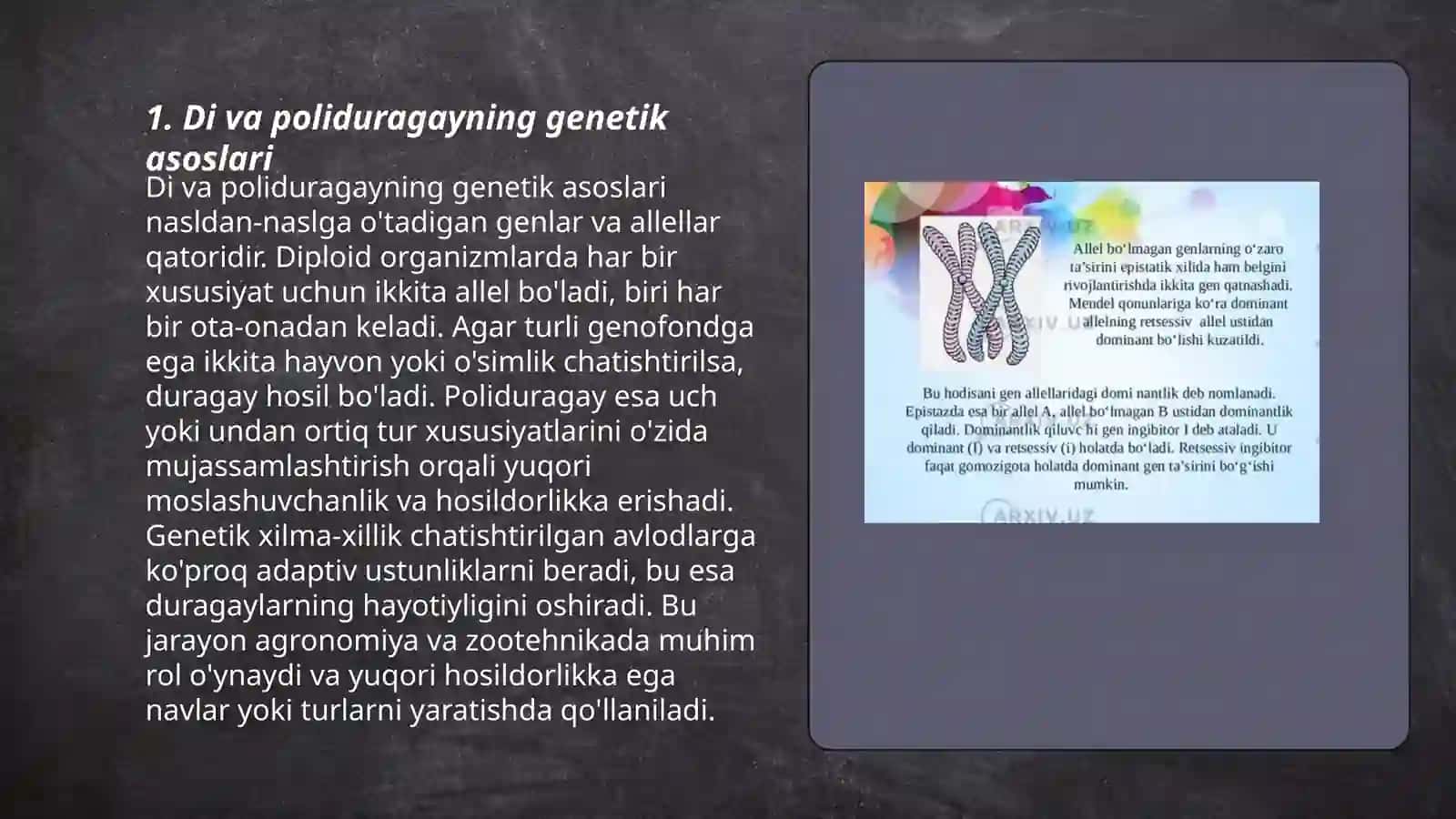 Di va poliduragayning genetik asoslari 3