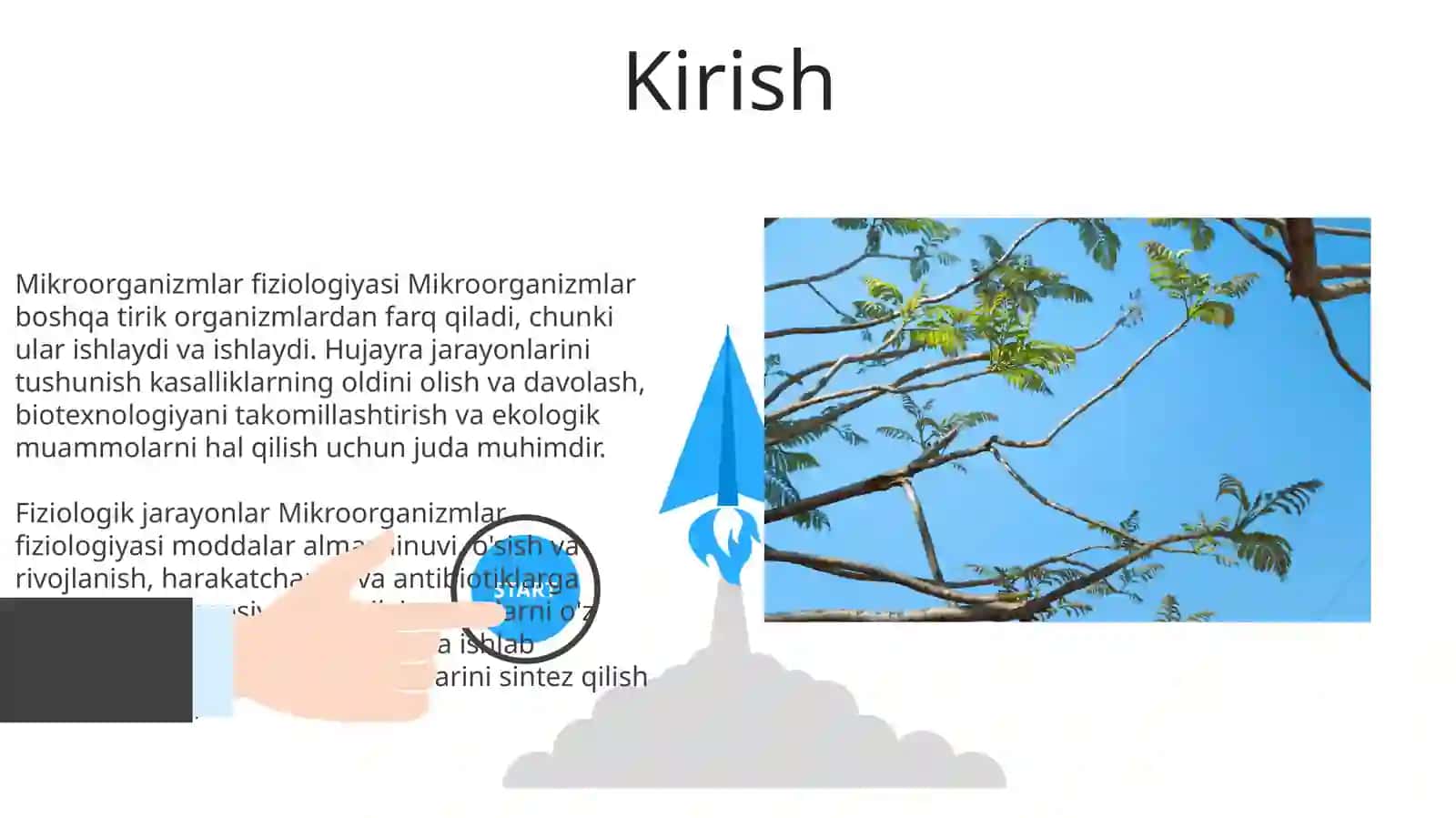 Mikroorganizmlarning Fiziologiyasi 3