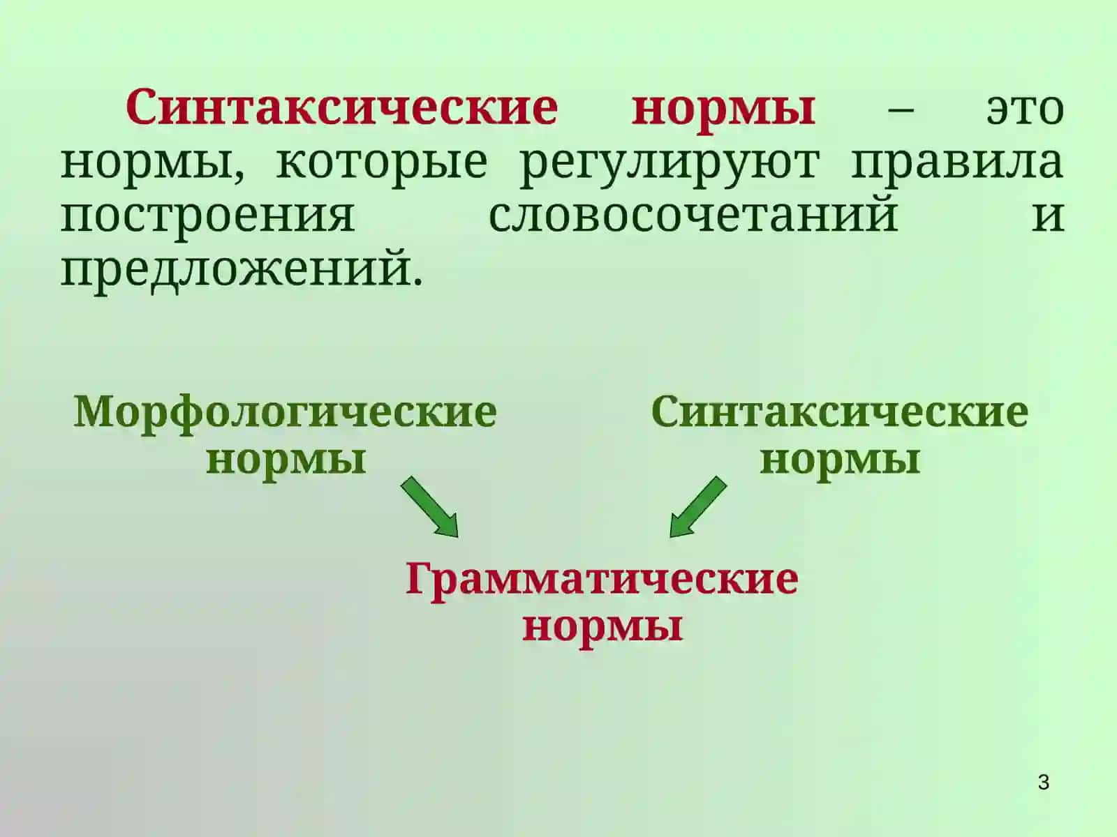 Синтаксические нормы русского языка 3
