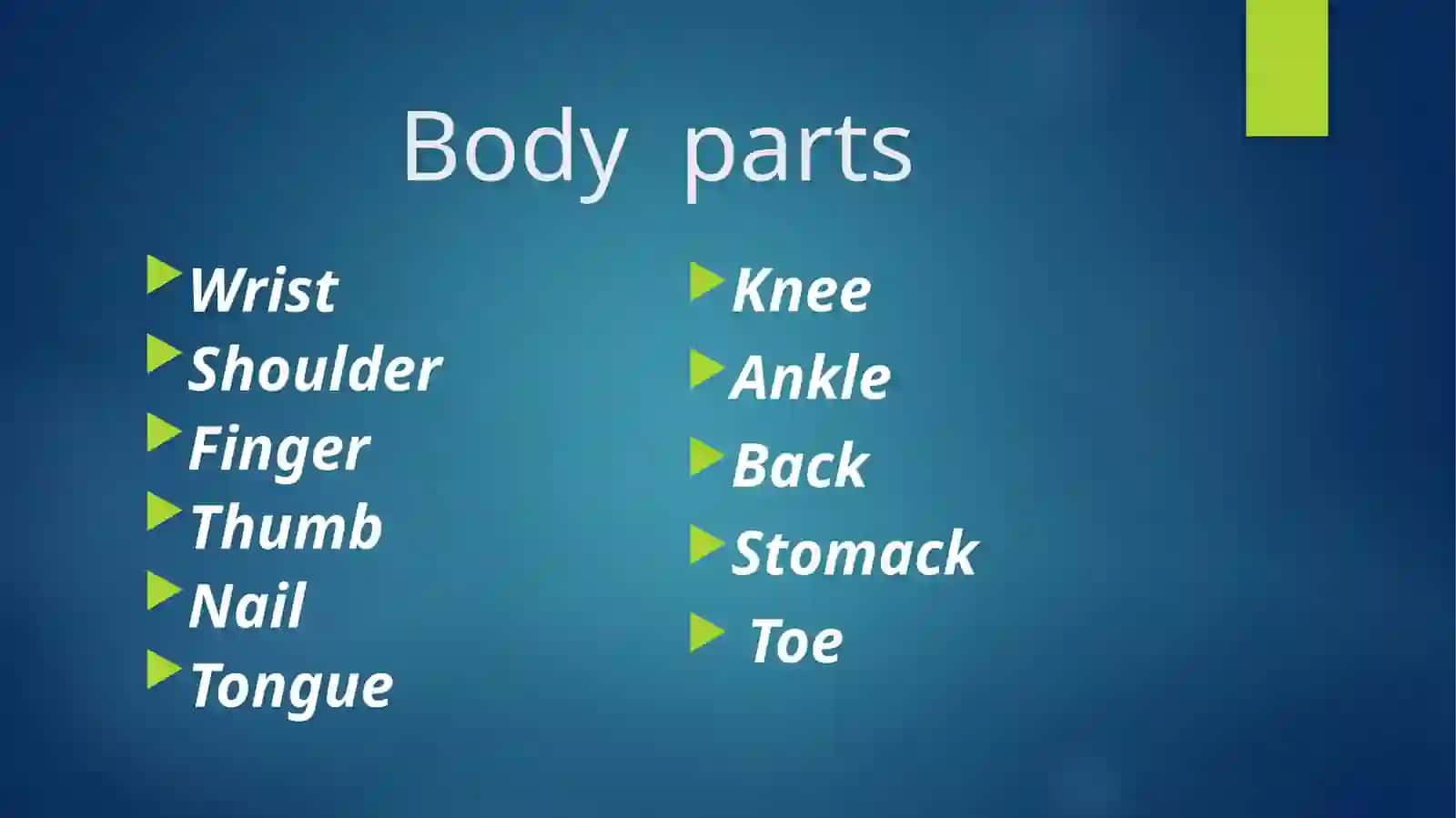 Body parts 3