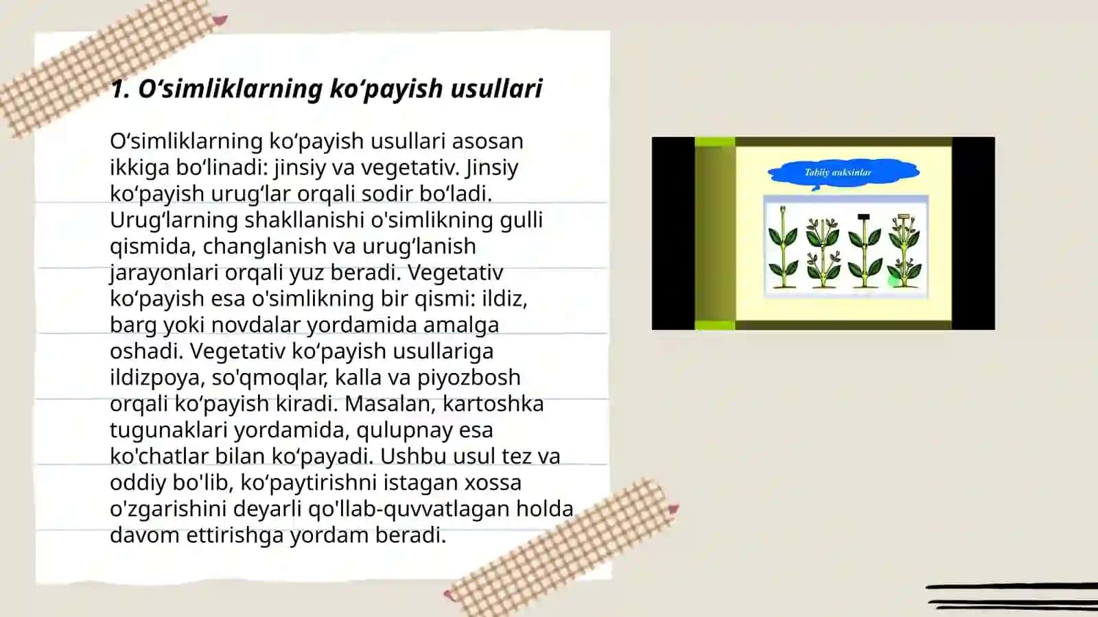 Oʻsimliklarning koʻpayish fiziologiyasi 3