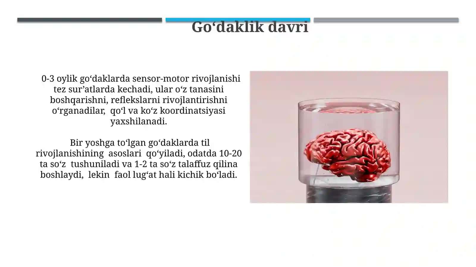 Psixik rivojlanish hamda uni davrlashtirish 3