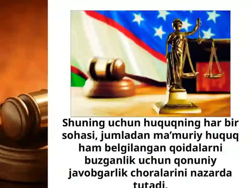Yerostibilanbog'liqhuquqbuzarliklaruchunma'muriyjavobgarlik 3