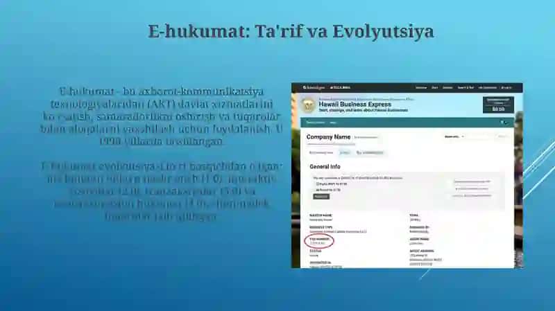 E-hukumat va yagona interaktiv davlat portali 3