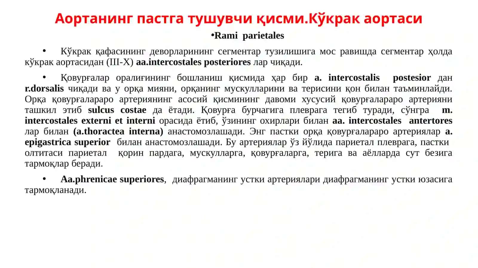 Кўкрак аортаси ва қорин аортасининг тармоқлари. Ички аъзоларнинг қон билан таъминланишининг жарроҳликдаги аҳамияти 3