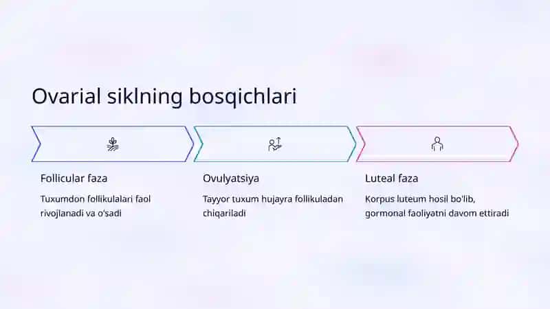 Ovarial siklning fiziologiyasi 3