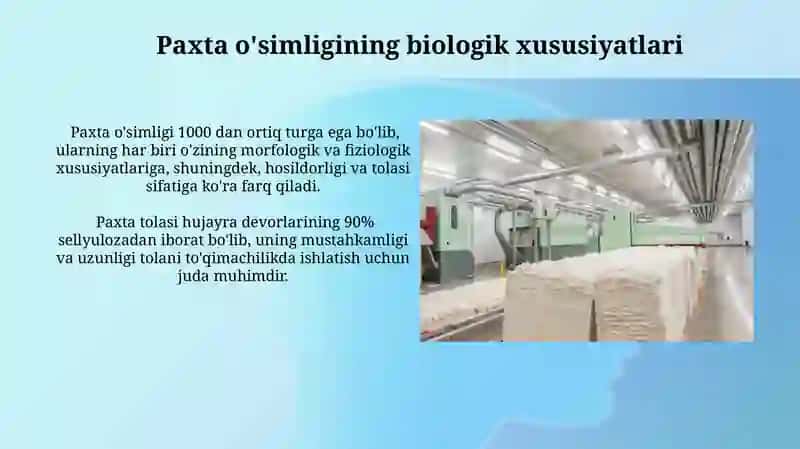 Paxta tolasi olinishi va ishlatilishi 3