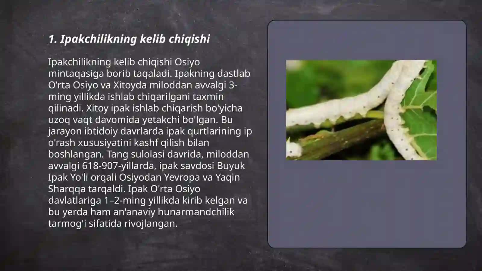 Ipakchilikni kelib chiqish tarixi va rivojlanishi 3