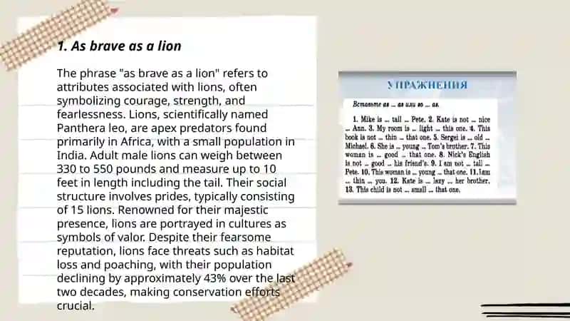 As brave as a lion 3