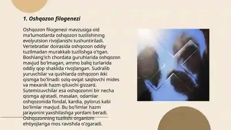 Odamning hazm tizimi filogenezi va buzilishlari 3