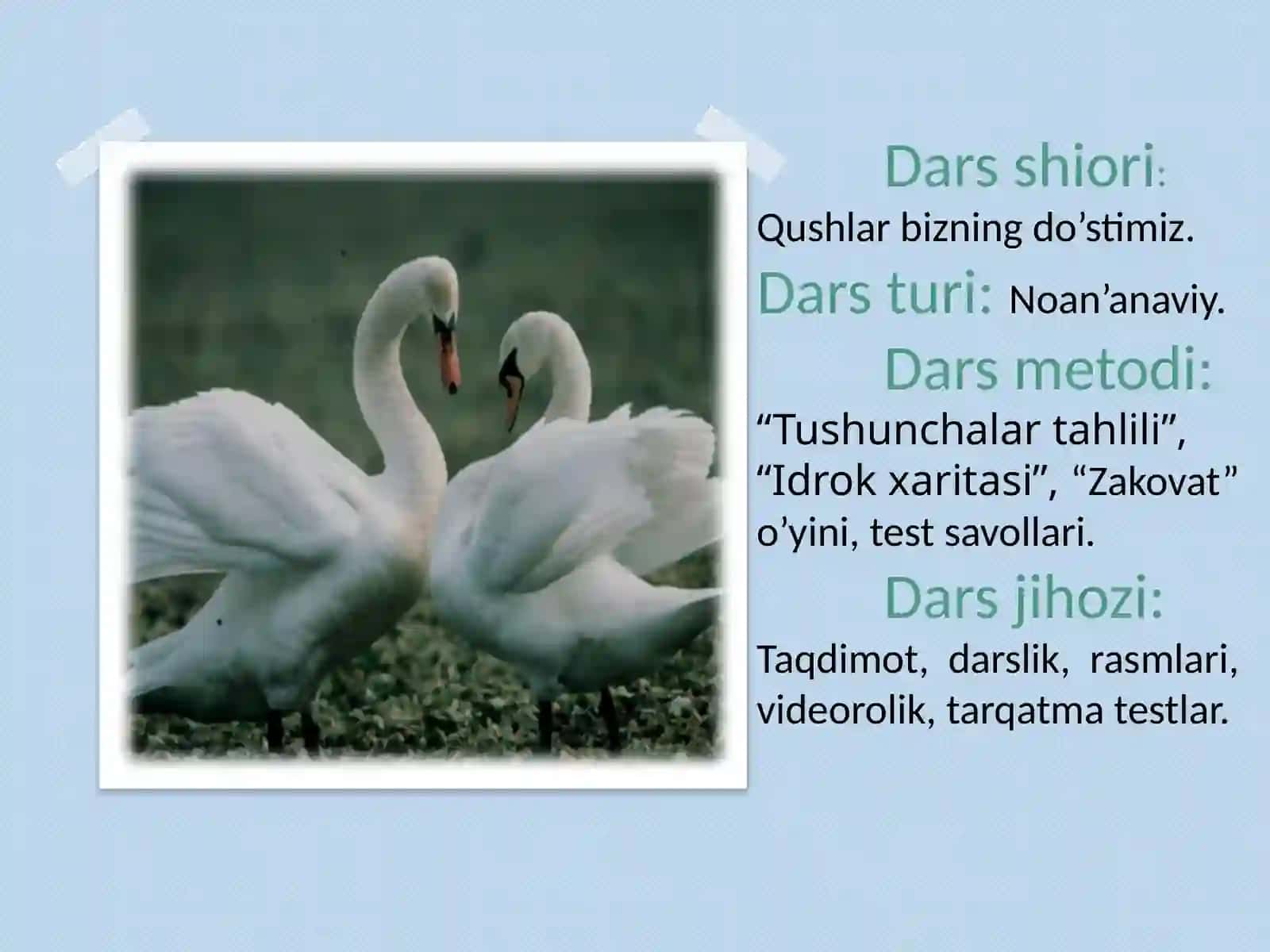 Qushlarningichkituzilishivasezgiorganlari 3