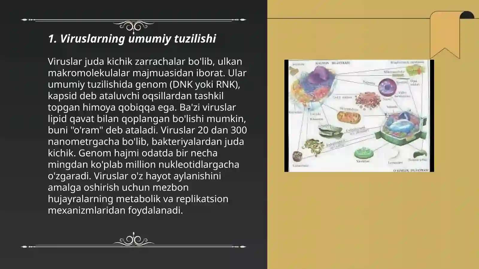 Viruslar. Prokariot hujayralar. Ularning oʻziga xos umumiy tuzilishi va farqlari 3