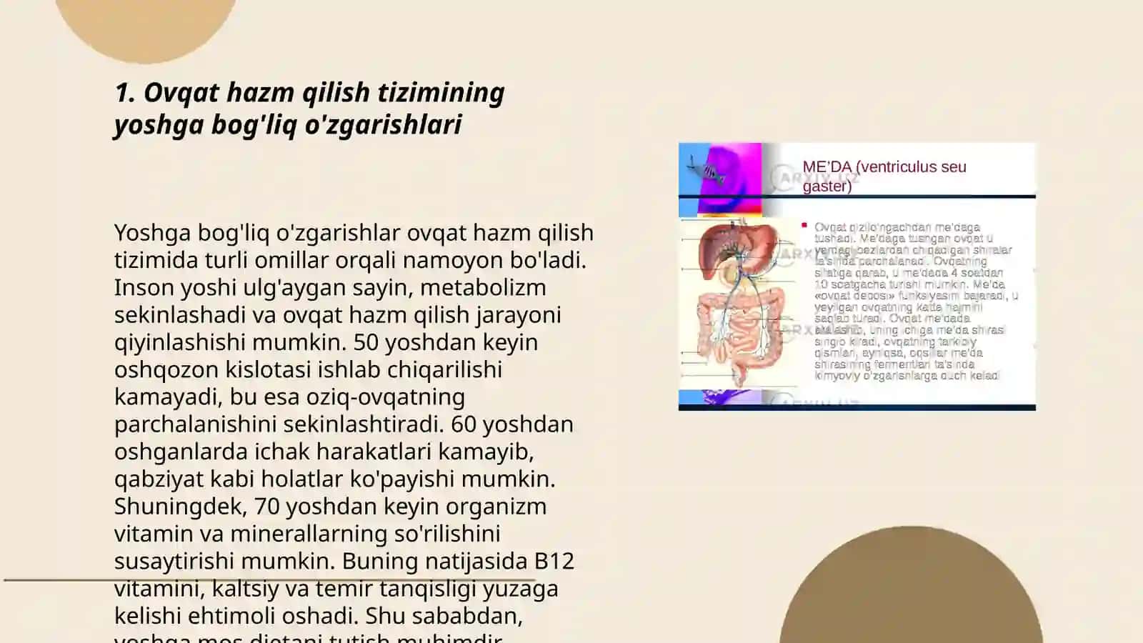 Ovqat hazm qilish tizimi 3