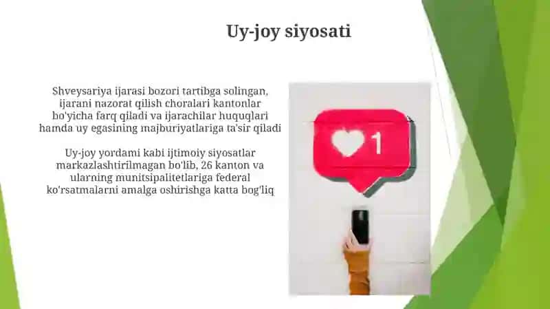Shvetsariyada ijtimoiy siyosat 3