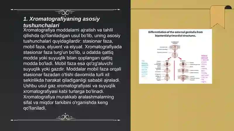 Xromotografiya metodi va uning mohiyati 3