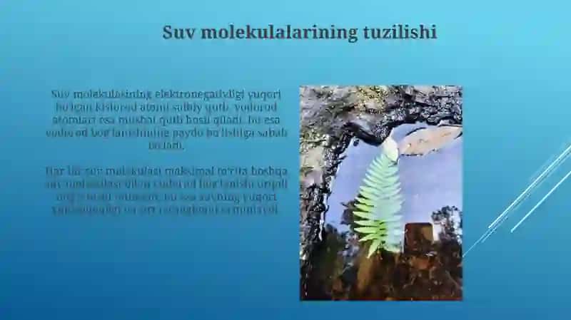 Suvning Kimyoviy Xossalari tabiatda aylanishi 3