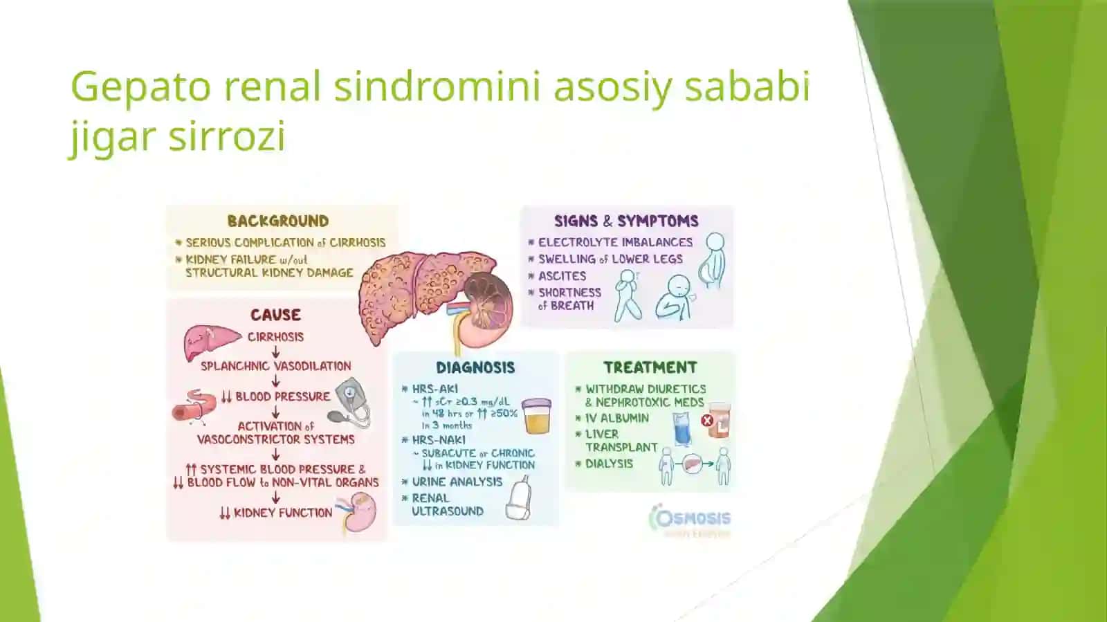 Gepato-renal sindromi 3