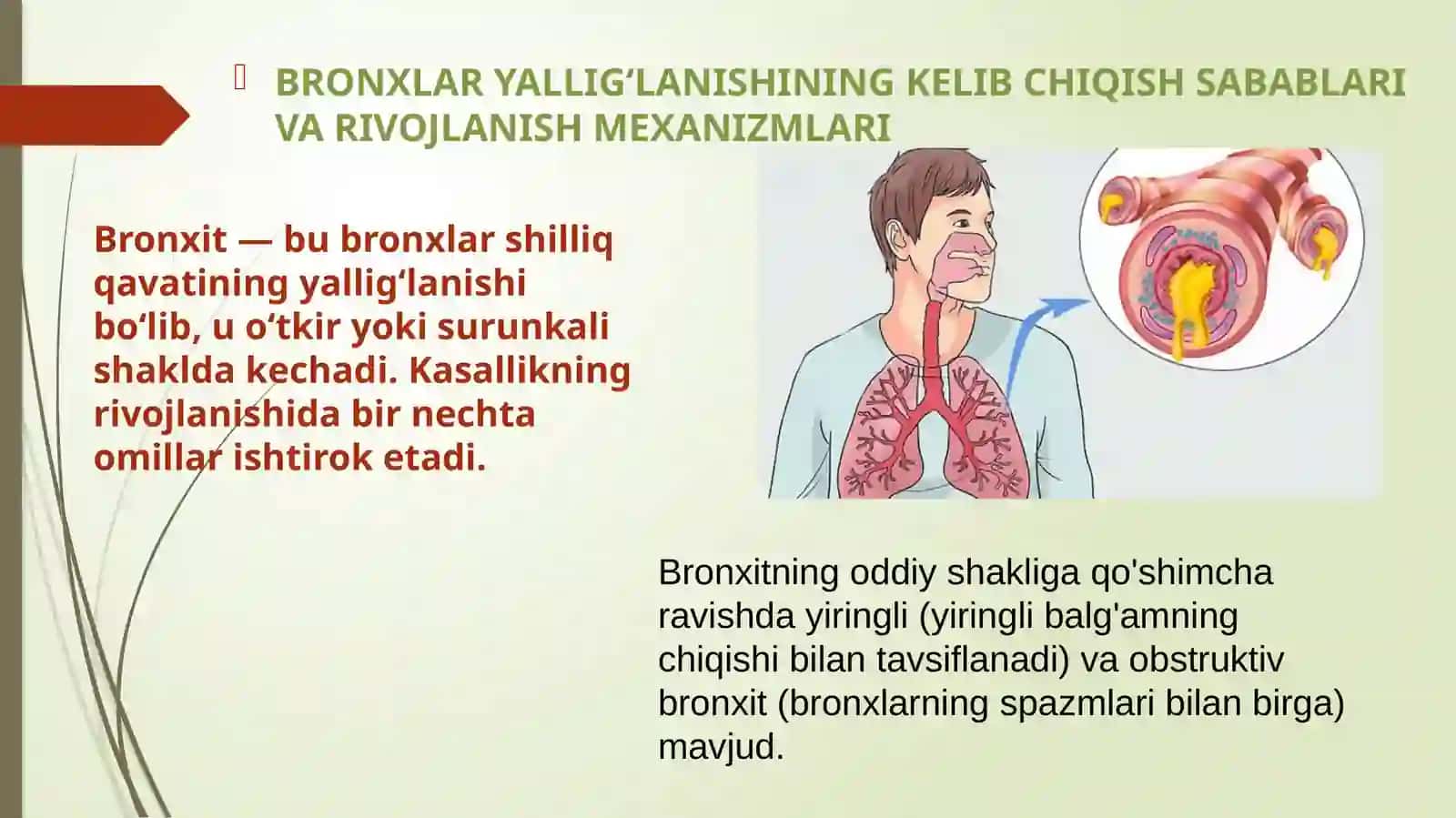 Bronxit kasaligini qo’zgatuvchi potogenez va labaraturiya tashxisi 3
