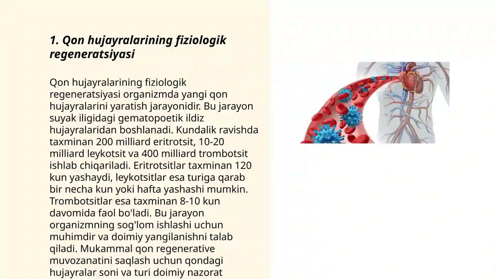 Qon hujayralarining fiziologik va reparativ regeneratsiyasi 3