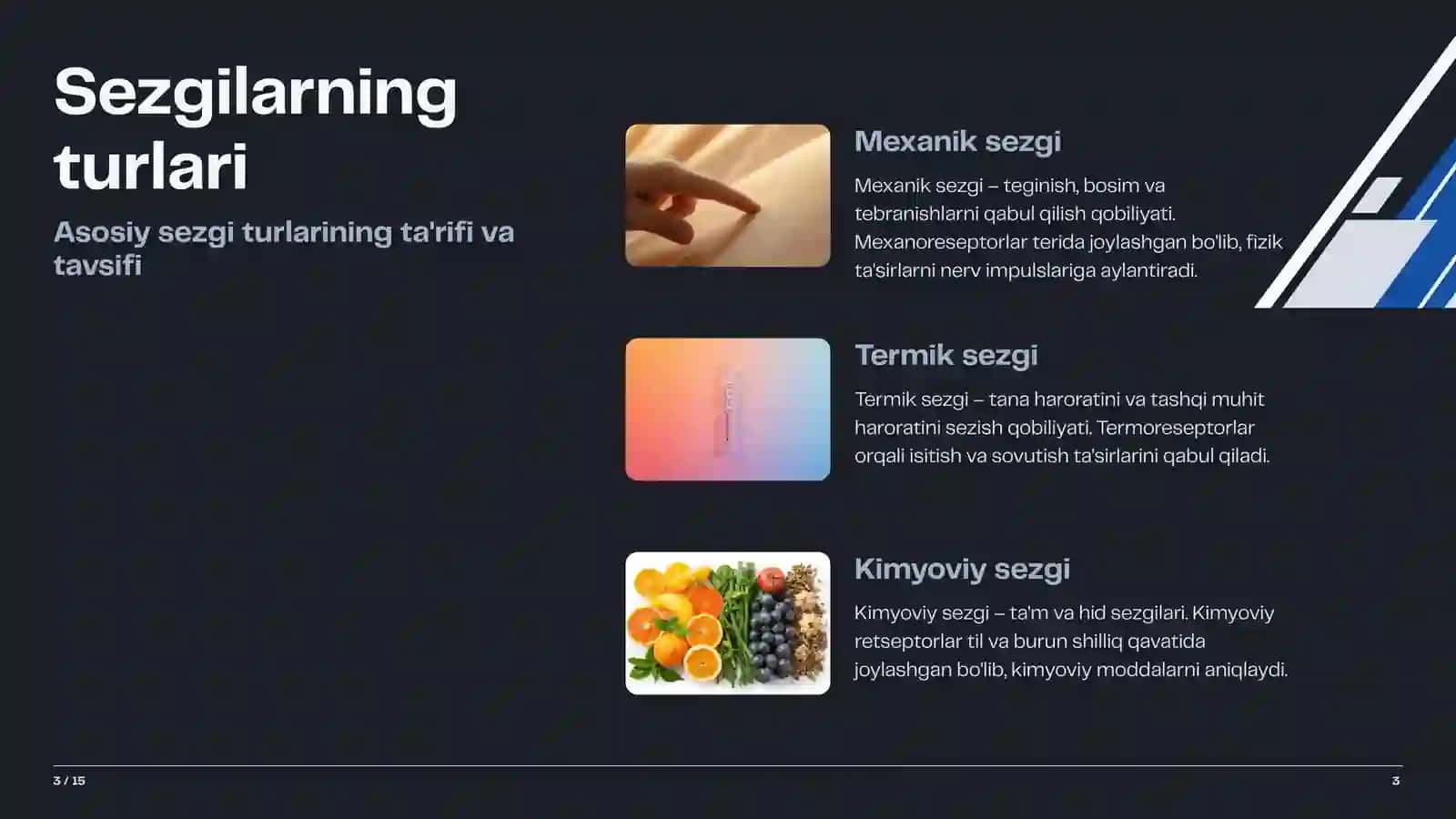Sezgilar haqida umumiy tushuncha va uning nerv-fiziologik asoslari 3