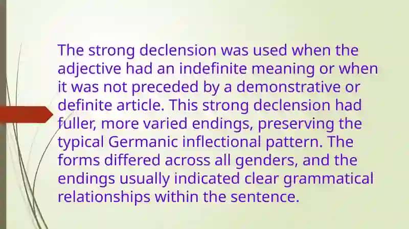 The Historical Development of Adjective Declensions 3