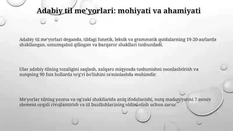 Adabiy til meʼyorlari va nutq madaniyati 3