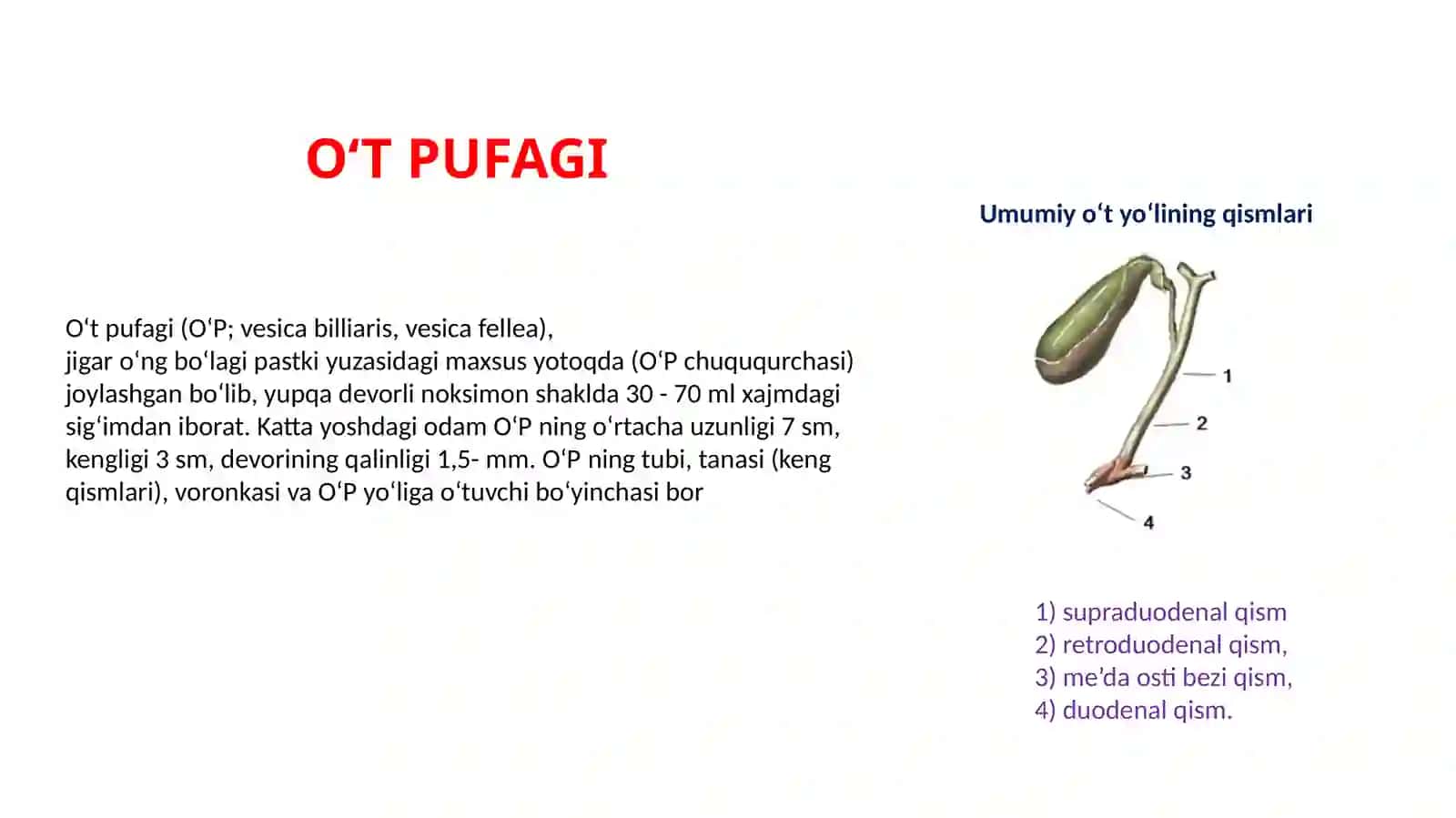 O‘ttoshkasalligi(xolelitiaz),o‘tkirvasurunkalitoshlixolesistithamdauningasoratlari 3