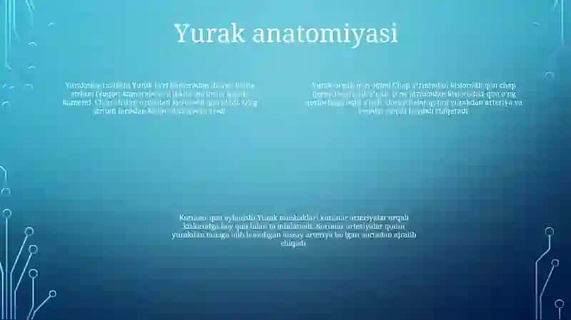 Yurak 3