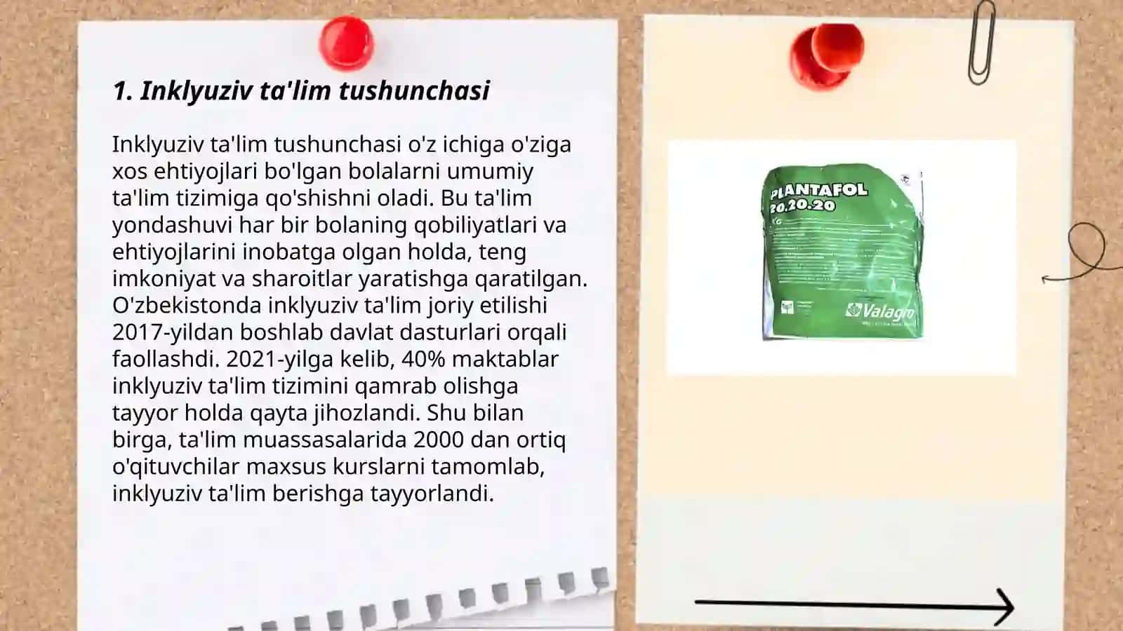 Inklyuziv ta'limning huquqiy asoslari 3