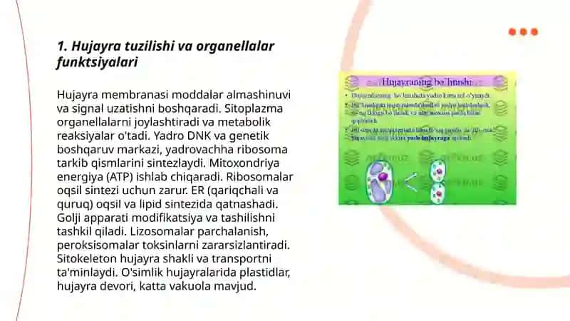 Hujayralarning biologiyasi va unda jarayonlarning kechishi 3