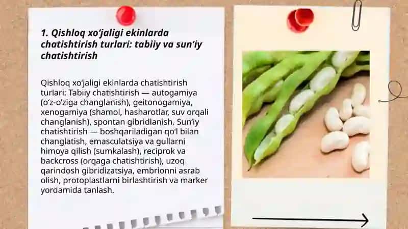 Qishloq xoʻjaligi ekinlarda gen injeneriyasidan foydalanish ahamiyati 3