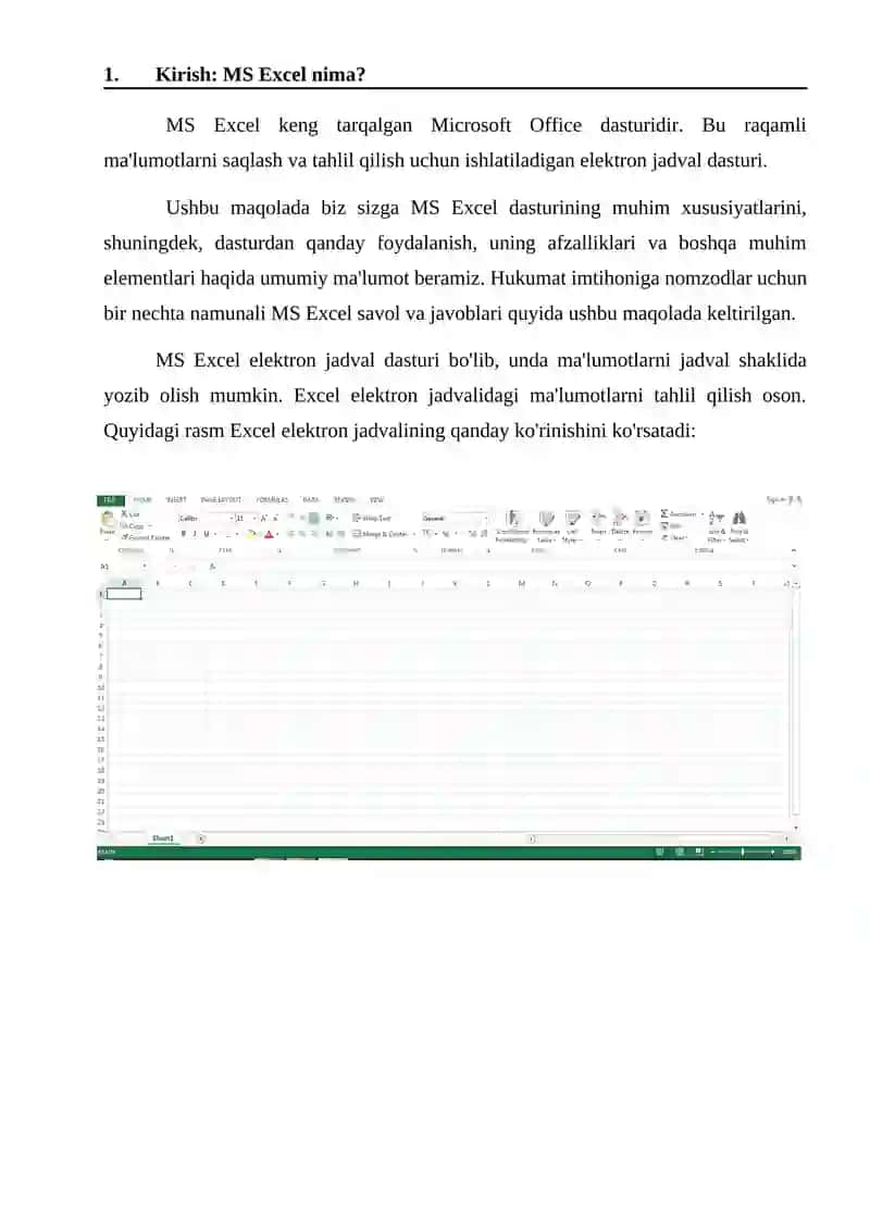 MS Excel 3
