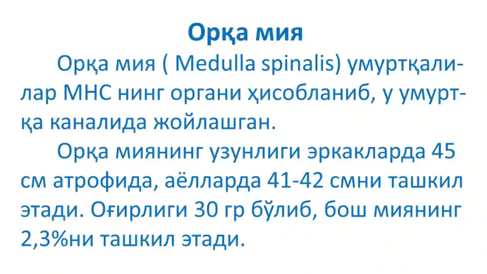 Orqa miya, uzunchoq miya va vegetativ nerv tizimi fiziologiyasi 3
