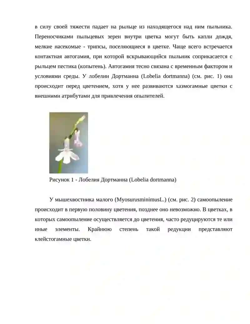 Опыление как способ размножения 3