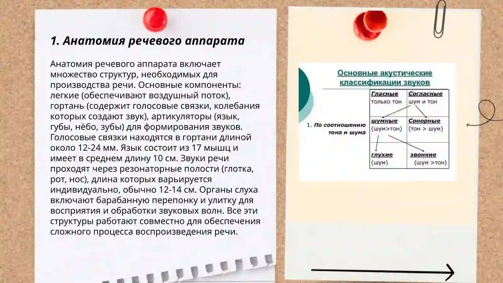 Понятие об образовании звуков и их классификация 3