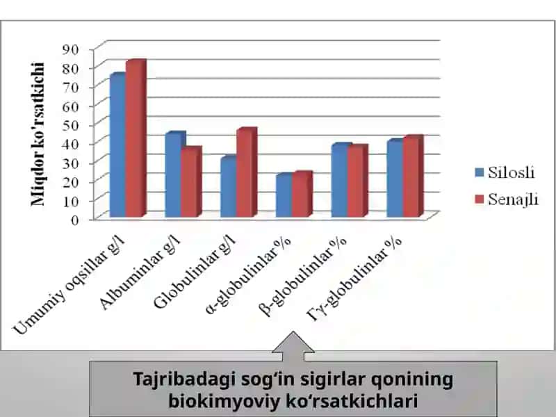 Tajribadagi sigirlar qoniga immunoglobulinlarni aniqlash 3