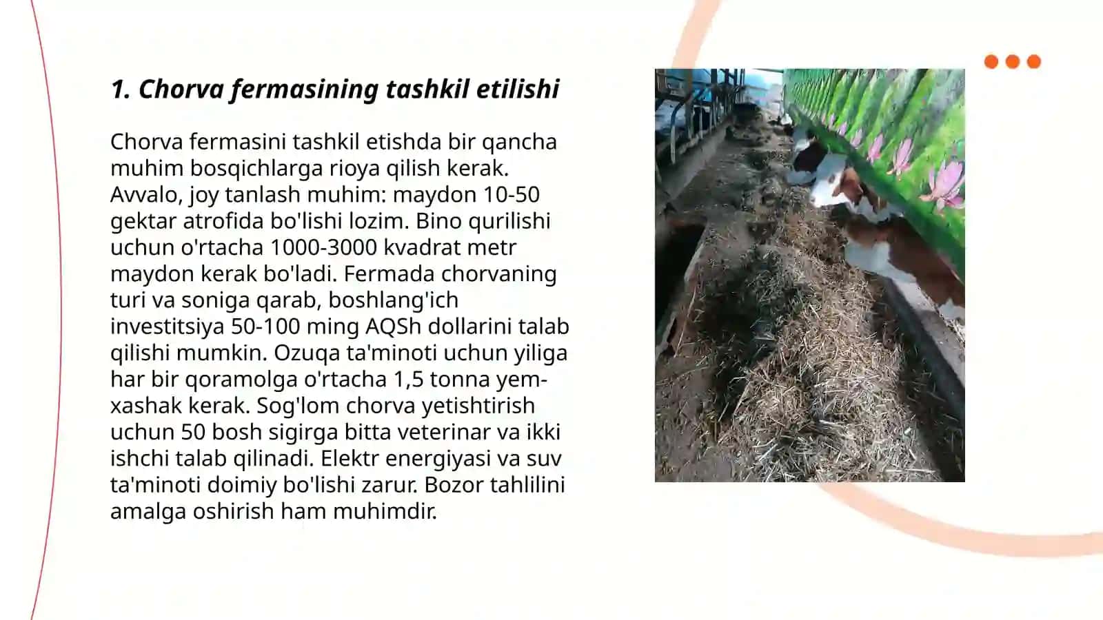 Chorva fermer xojaligi ish tartibi va mahsulotlari 3
