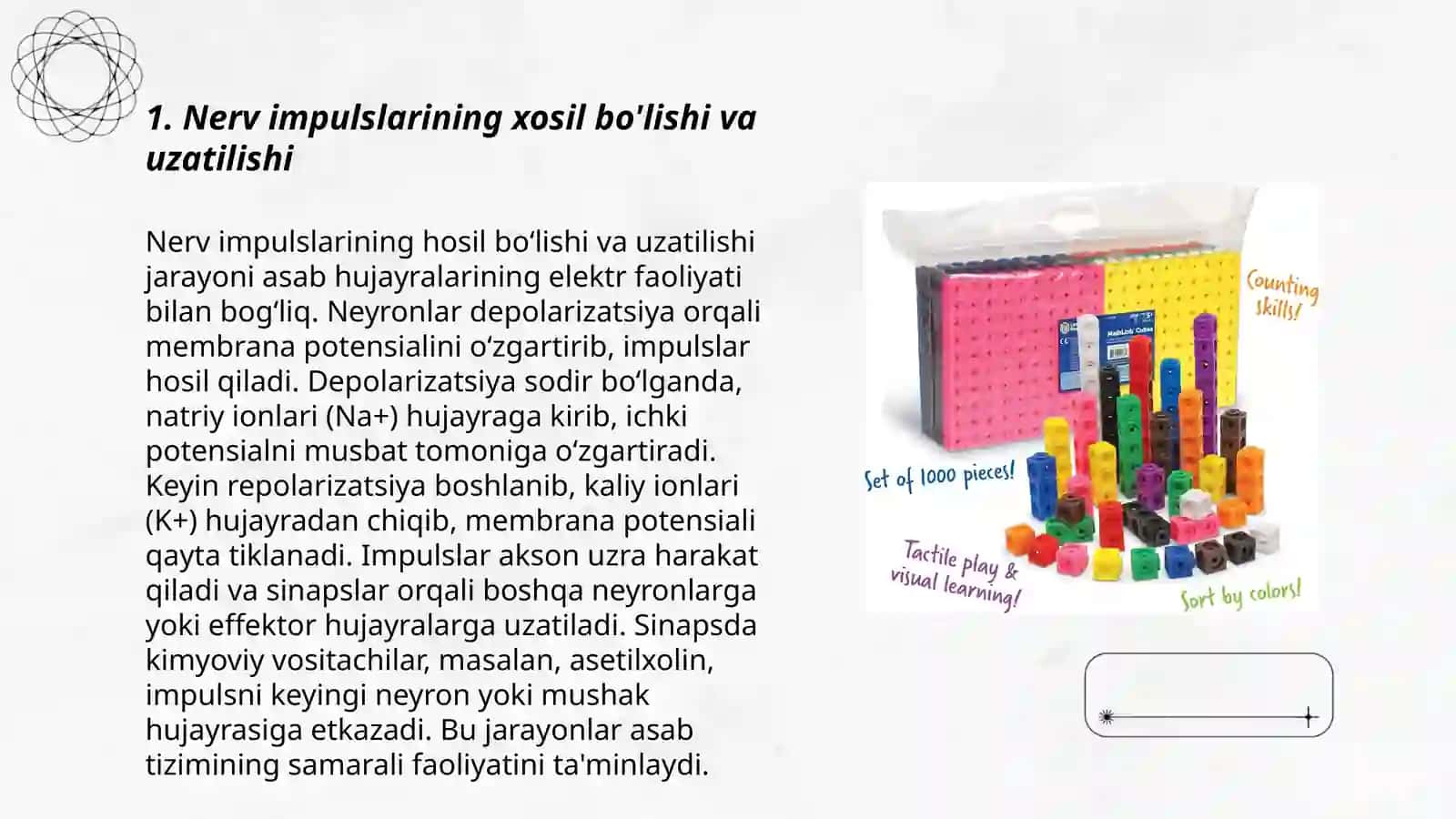 Oliy nerv faoliyatini amalga oshiruvchi asosiy mexanizmlar. Bolalar nevrapotologiyasi 3
