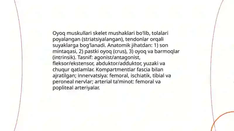 Oyoq muskullarining tuzilishi 3